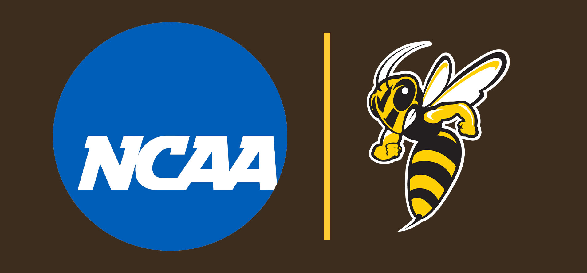 10 Winter Sports Student-Athletes Qualify for NCAA Division III National Championships