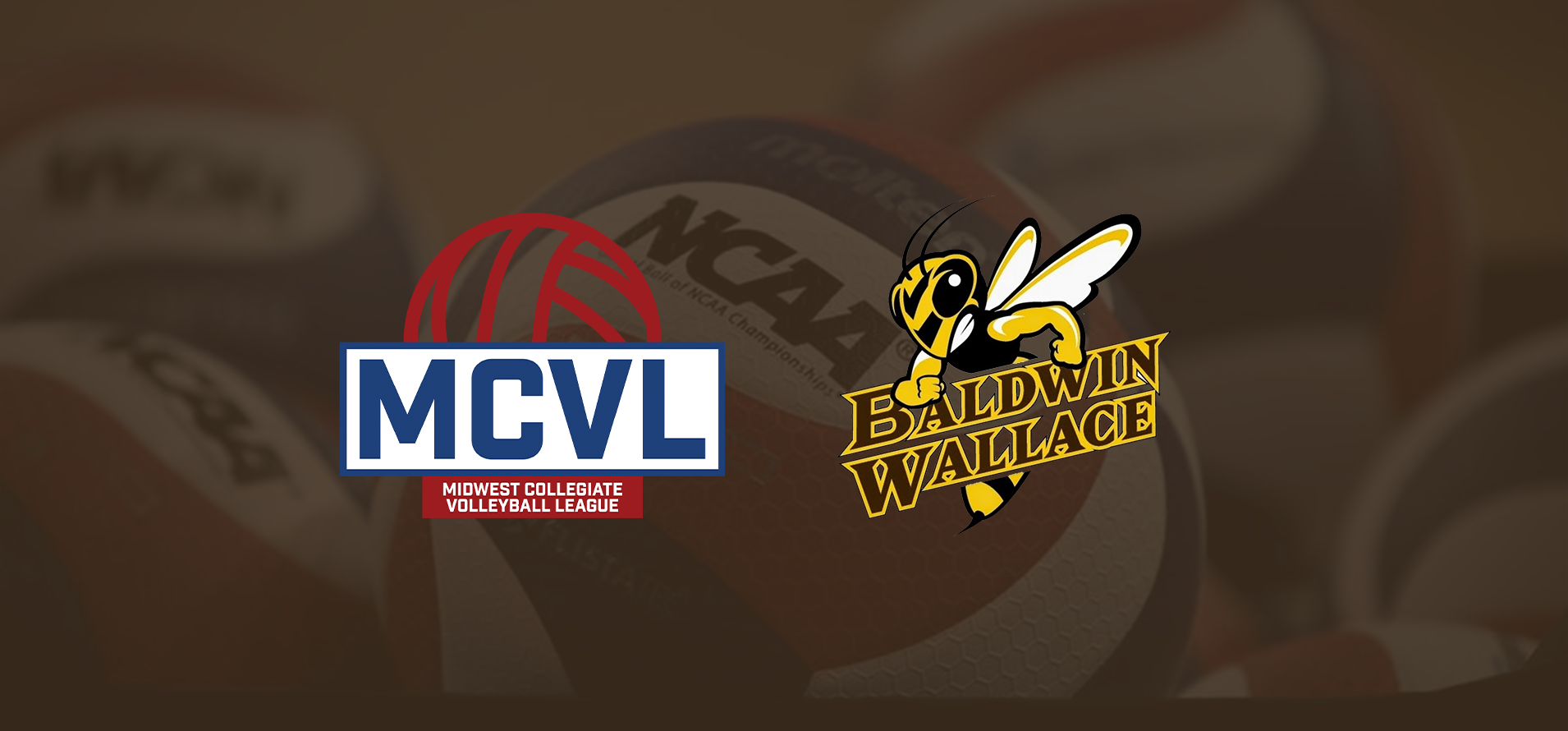 Five Men's Volleyball Players Named Academic All-MCVL