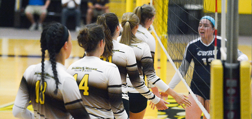 Volleyball Releases 2017 Schedule