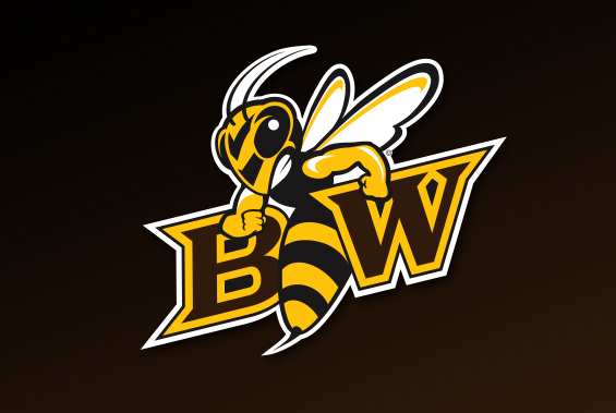 BW Men's Soccer Drops OAC Decision To Capital