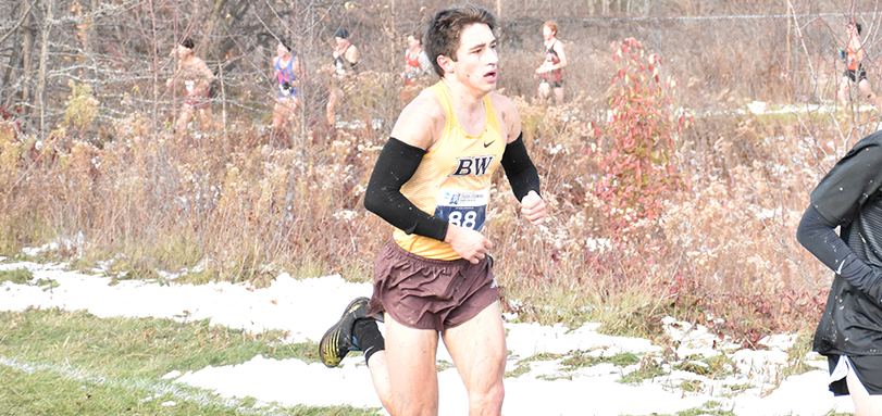 Junior Andrew Krupp placed 67th in the Great Lakes Regional Championships