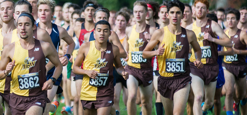 Men's Cross Country Aims to Set Pace Atop the OAC