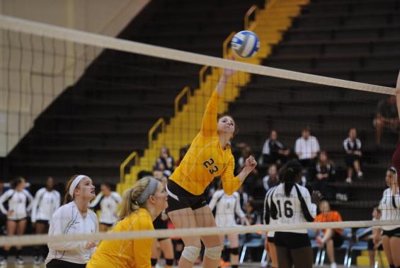 Volleyball Team Spilts on Final Day of OAC/HCAC Challenge