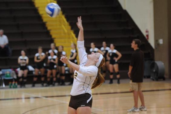 Volleyball Team Drops a Pair of Matches at DePauw (Ind.) Tourney