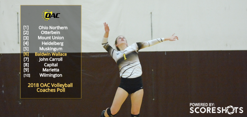 Volleyball Selected Sixth in OAC Coaches Poll