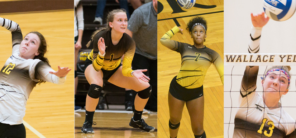 Four Volleyball Players Earn All-OAC Honors