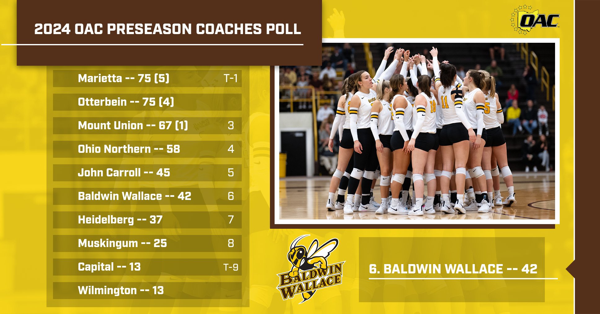 Women's Volleyball Tabbed Sixth in OAC Preseason Coaches Poll